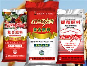红色劲典