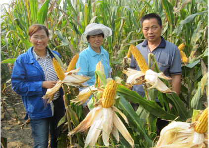 红色劲典玉米缓释肥40%(30-5-5) 红色劲典玉米缓释肥40%(30-5-5)