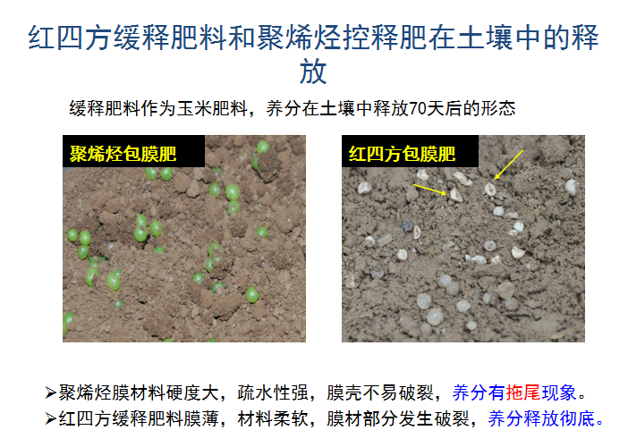 红色劲典缓释肥释放肥效展示