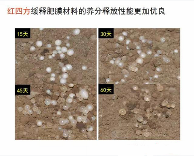 红色劲典缓释肥膜材料养分释放性更优良