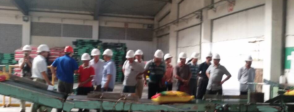 安徽肥东县八斗镇的直供网点，参观复合肥生产线、铁路线、尿素生产线！