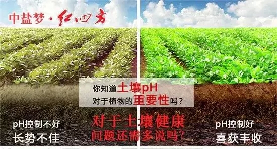 土壤酸碱性影响作物收成