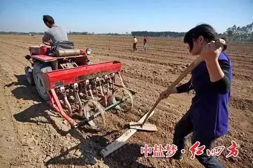 小麦种植户最关心的是什么？
