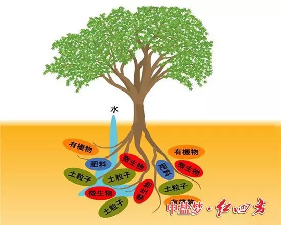 稳定肥料释放原理图