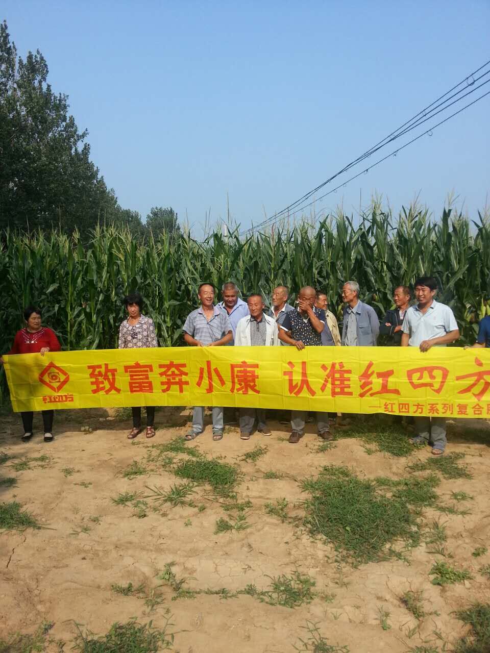 红色劲典缓控释肥料示范观摩会现场