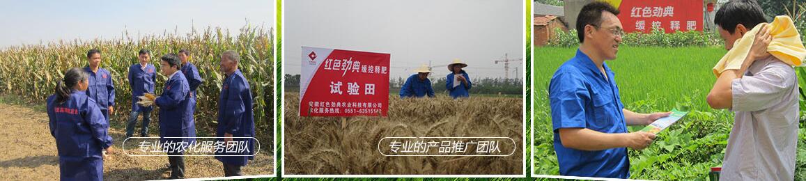 红色劲典缓控释肥