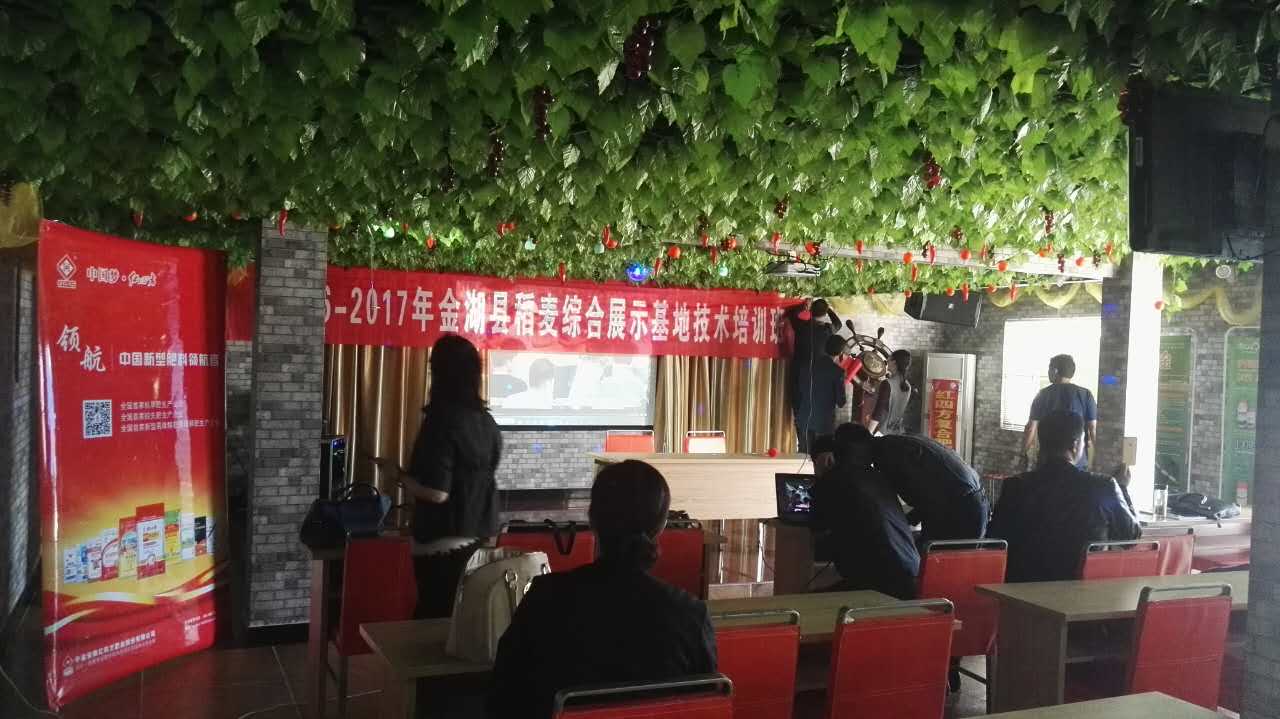 红色劲典复合肥品牌亮相金湖地区举办稻麦综合综合展示基地培训会