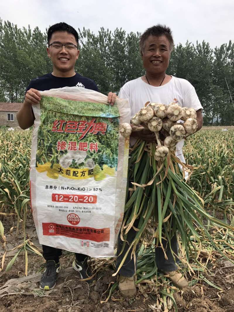 种植大蒜新主张，红色劲典大蒜配方肥