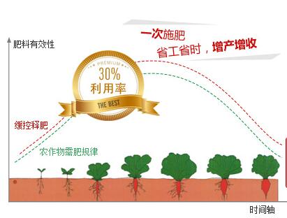 玉米专用肥肥效释放图